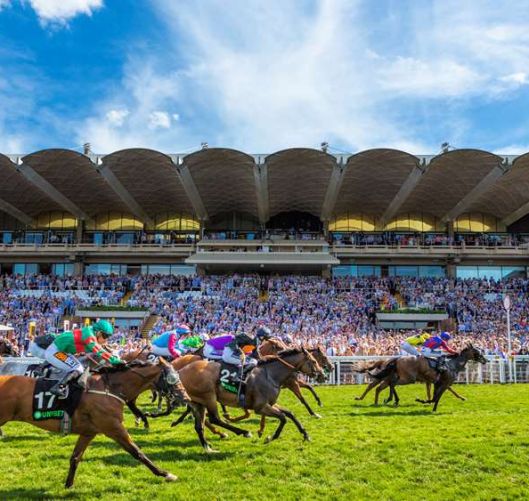 Goodwood Race Course